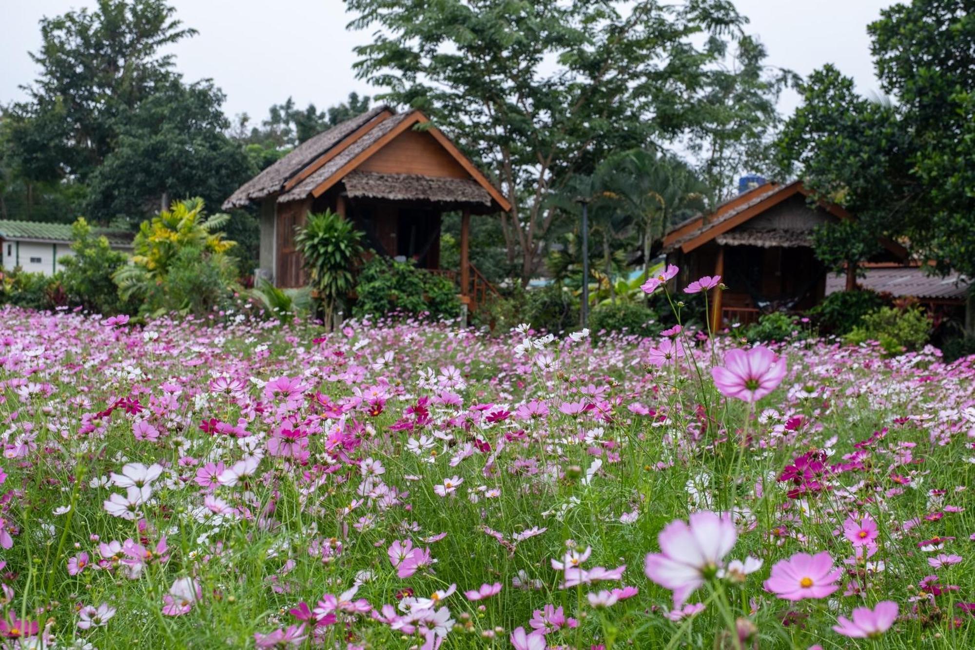 Hotel The Nest House Pai Esterno foto