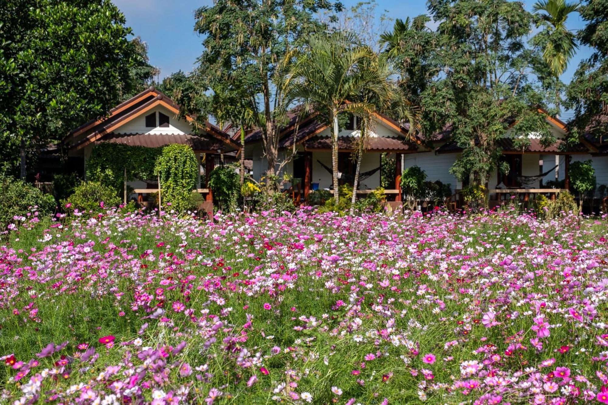 Hotel The Nest House Pai Esterno foto