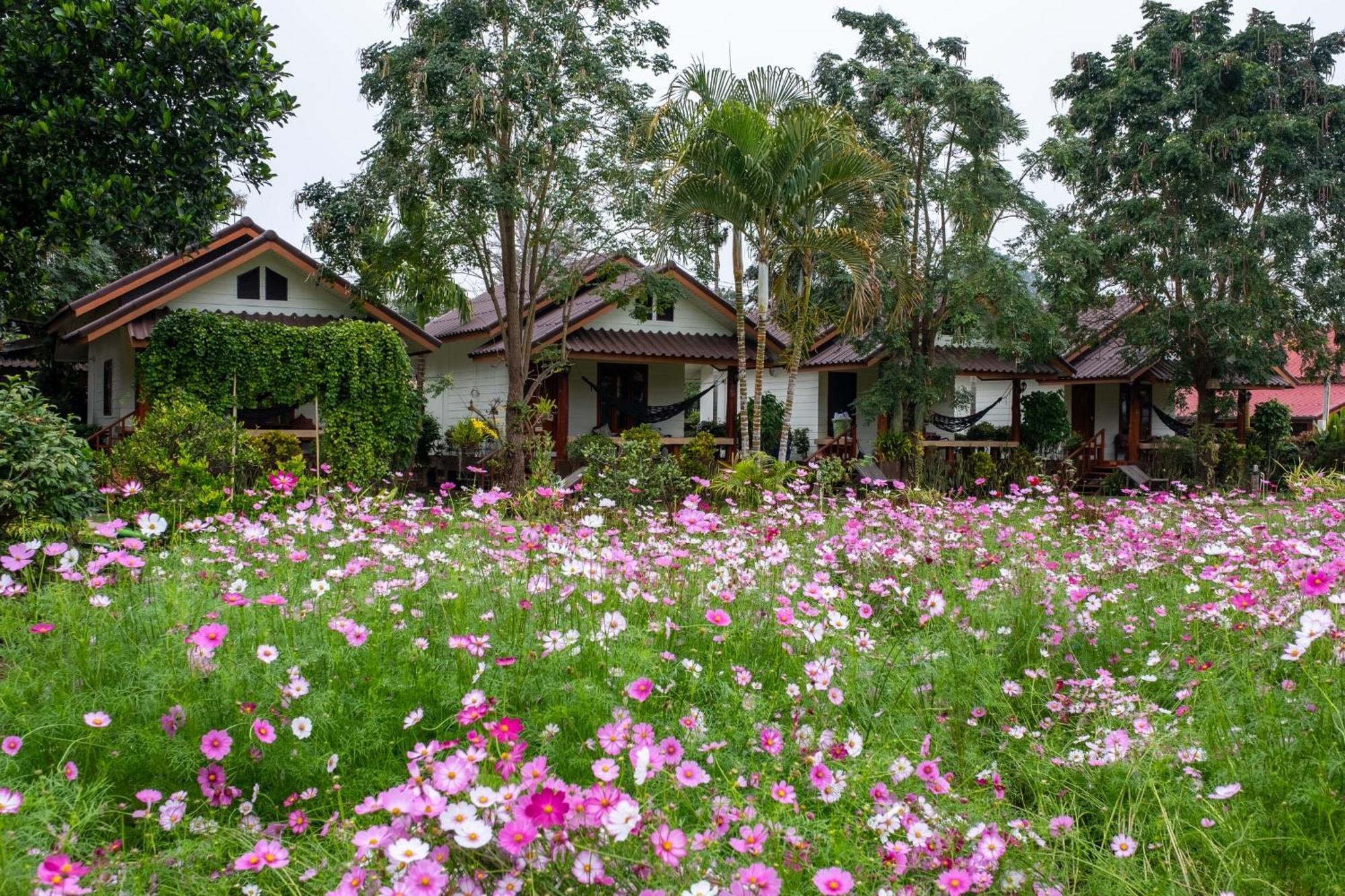 Hotel The Nest House Pai Esterno foto