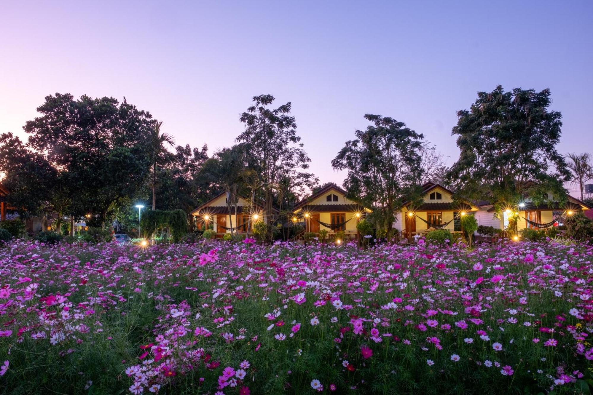 Hotel The Nest House Pai Esterno foto