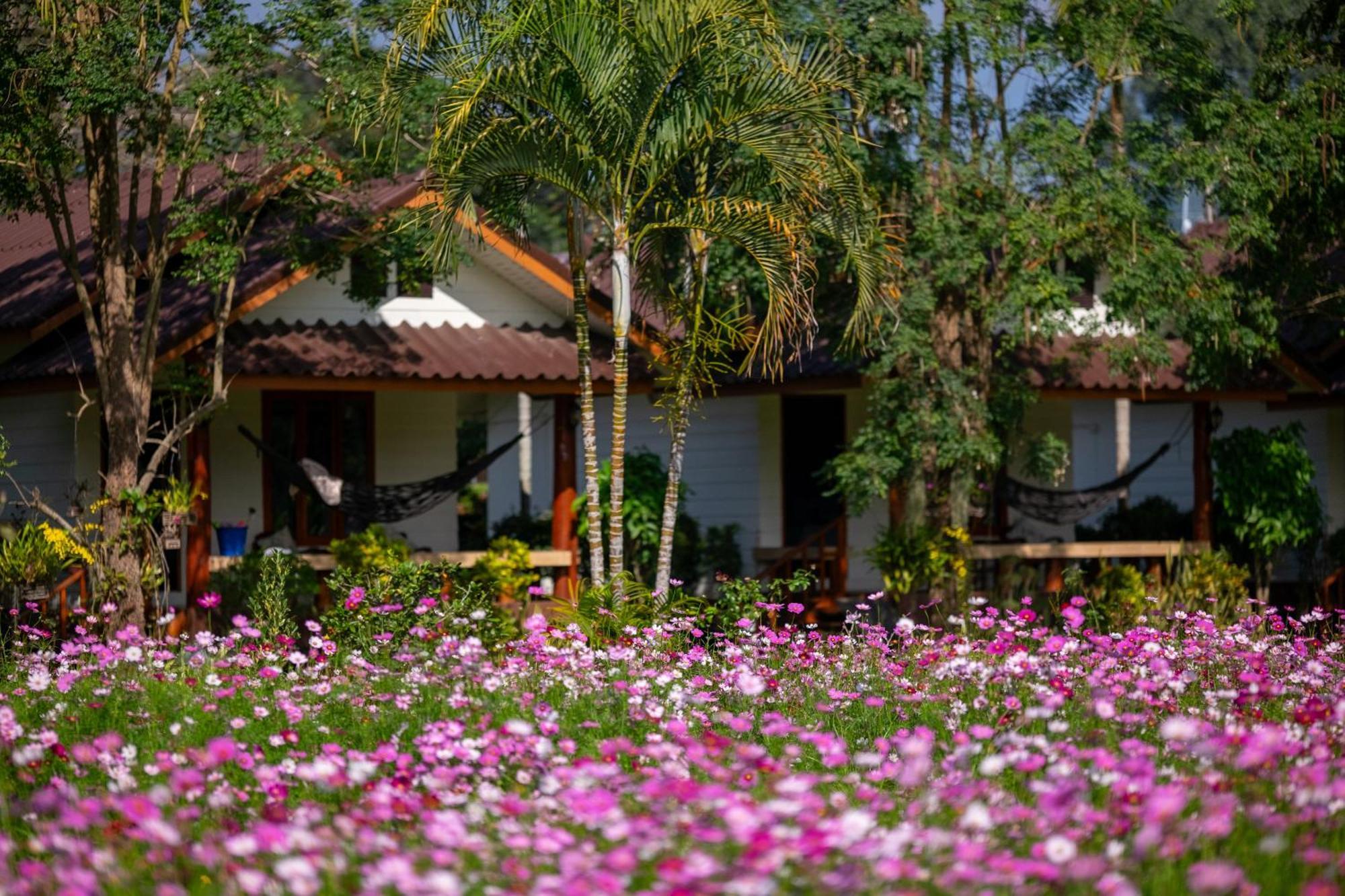 Hotel The Nest House Pai Esterno foto