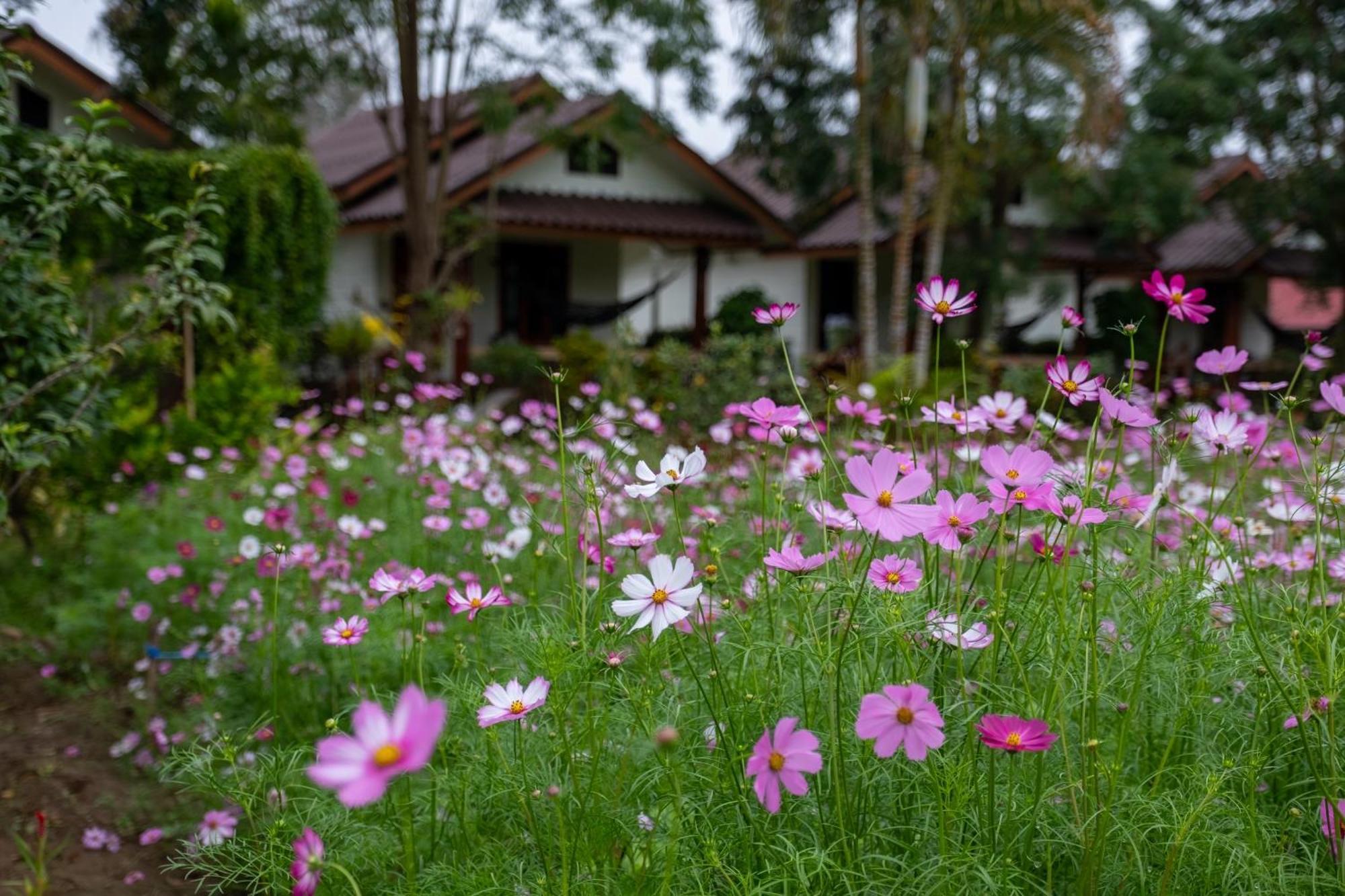 Hotel The Nest House Pai Esterno foto