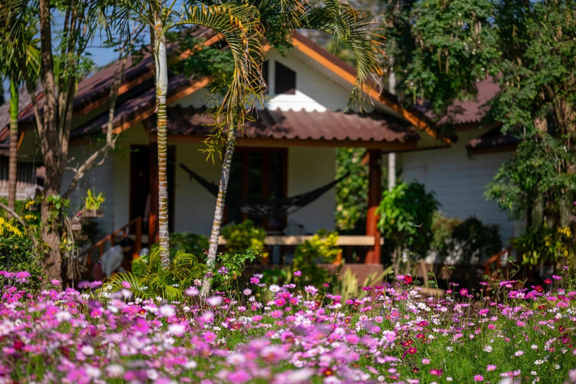 Hotel The Nest House Pai Esterno foto