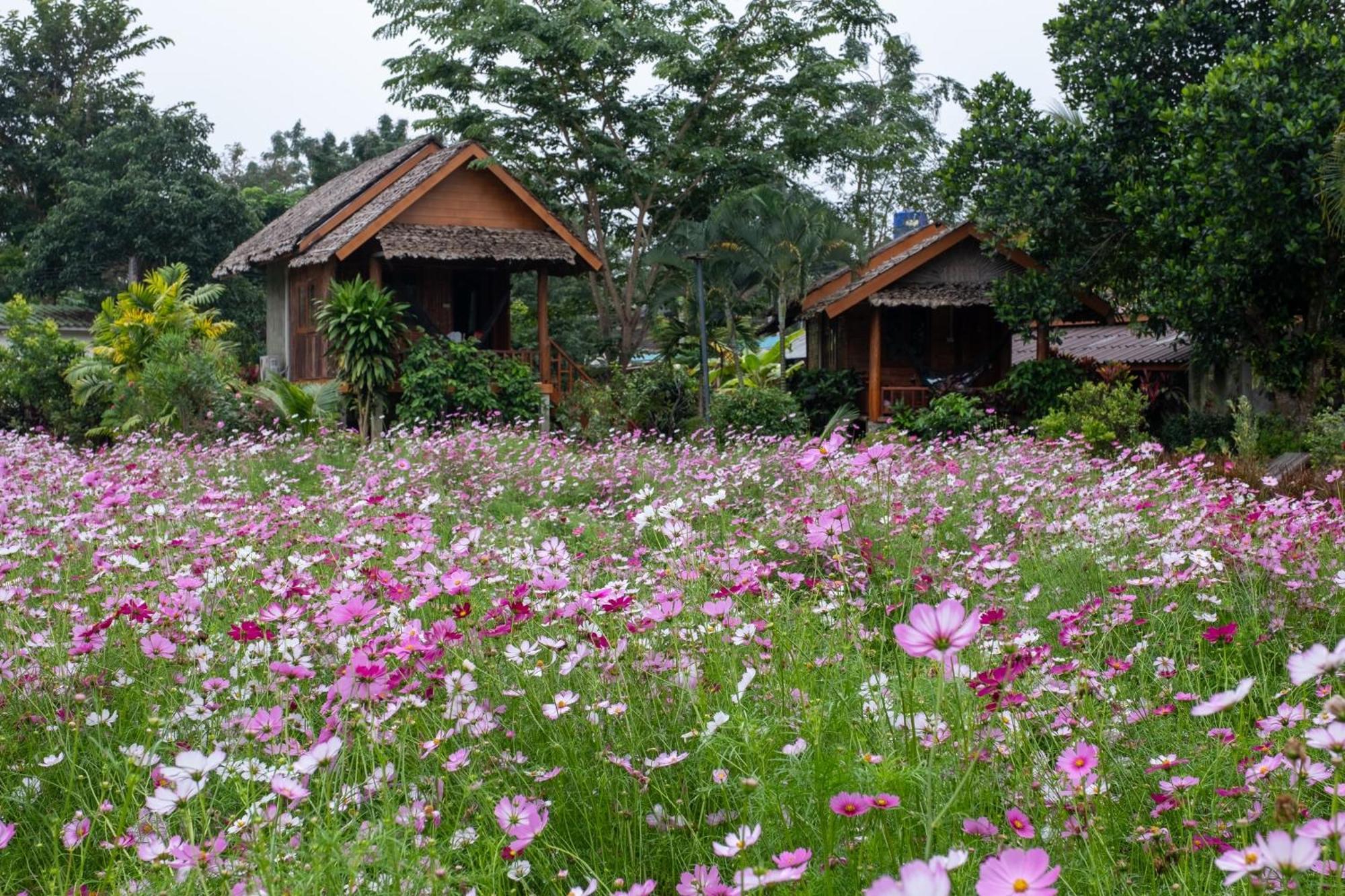 Hotel The Nest House Pai Esterno foto