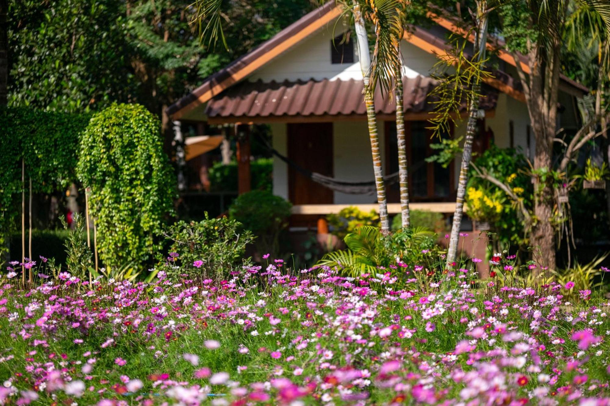 Hotel The Nest House Pai Esterno foto